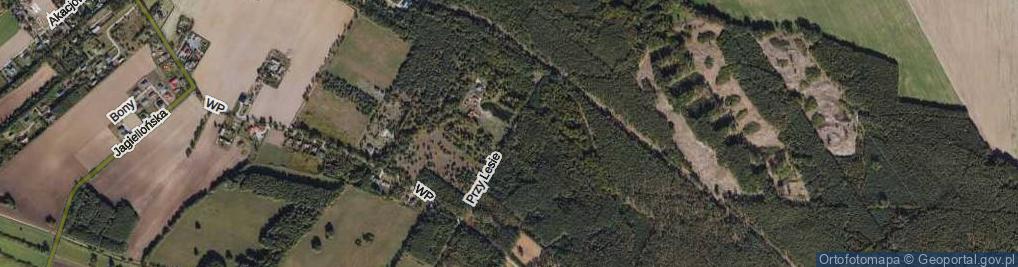 Zdjęcie satelitarne Przy Lesie ul.